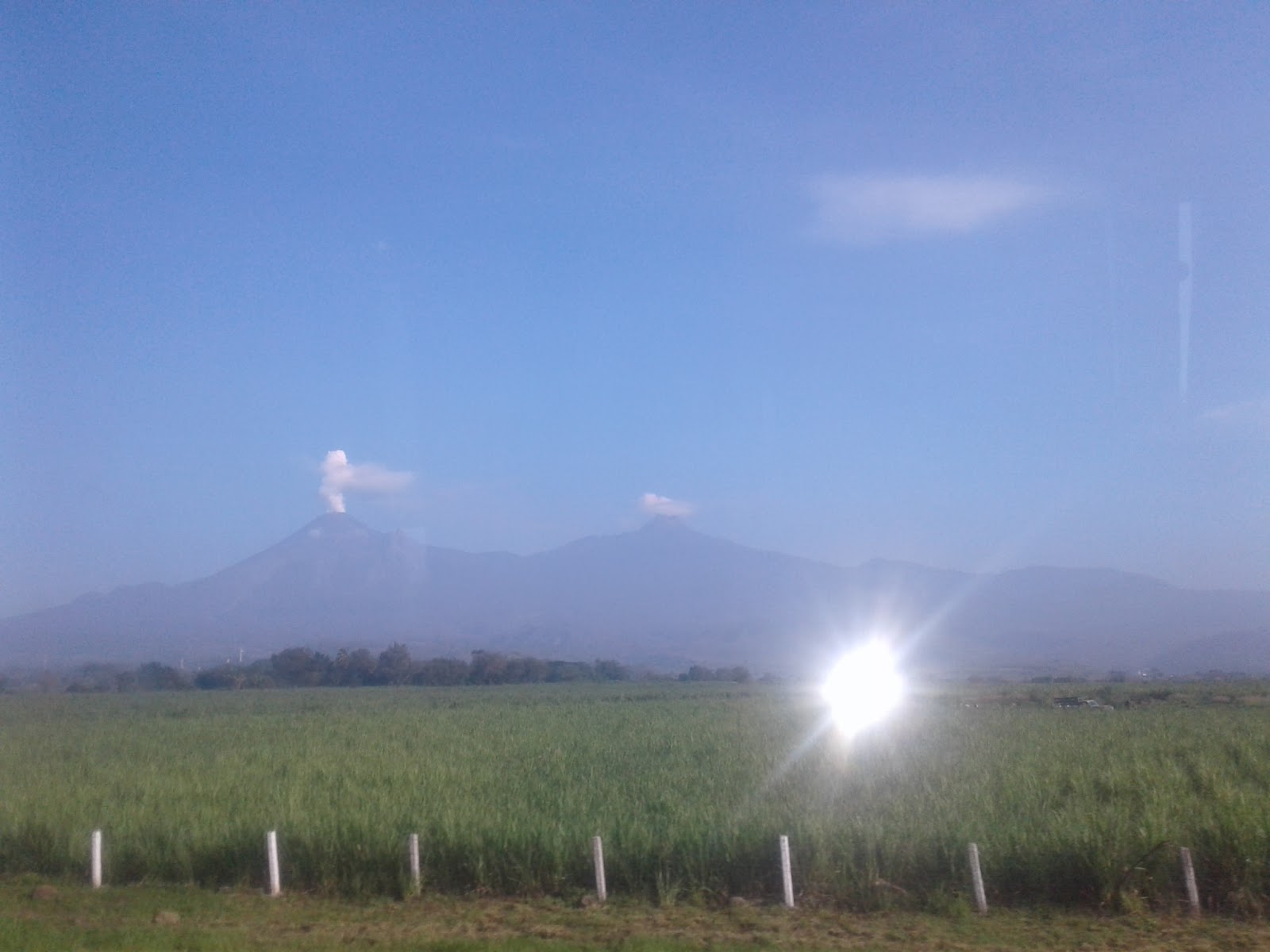 leetx-google-photo-47160-5 leetx-google-photo-47160-5