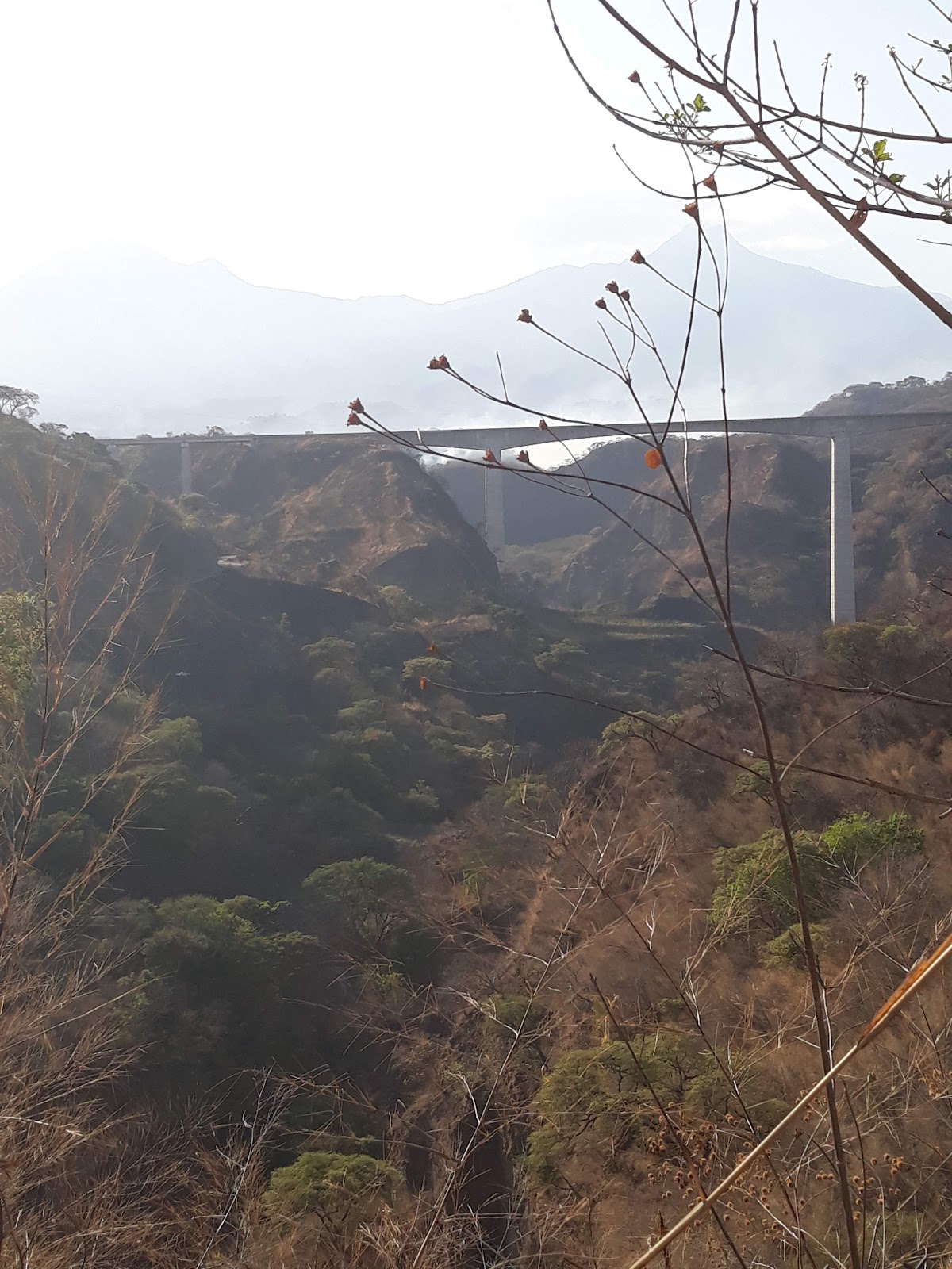 leetx-google-photo-47160-6 leetx-google-photo-47160-6