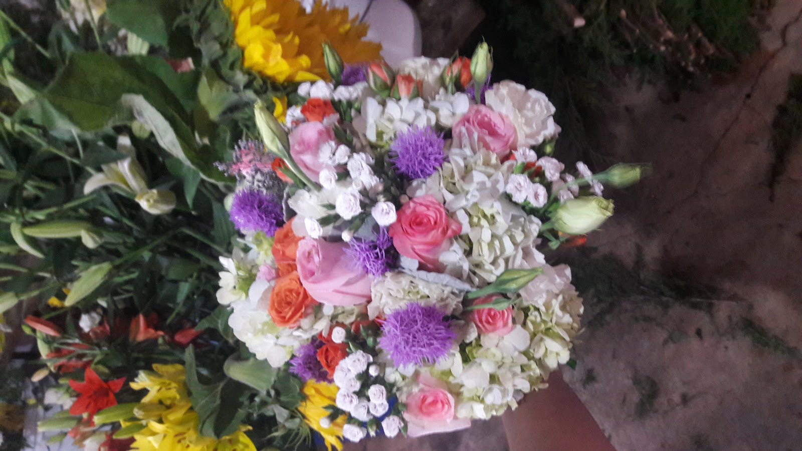 leetx-google-photo-47931-3 leetx-google-photo-47931-3