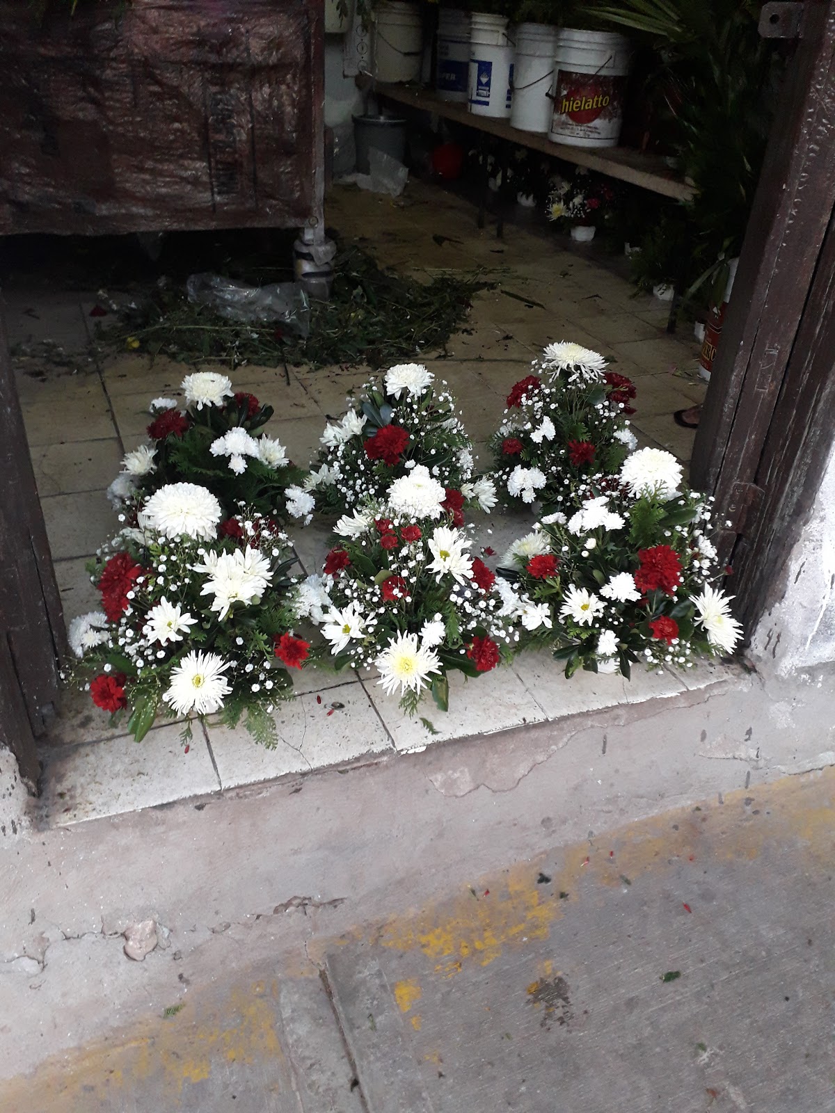 leetx-google-photo-47931-5 leetx-google-photo-47931-5