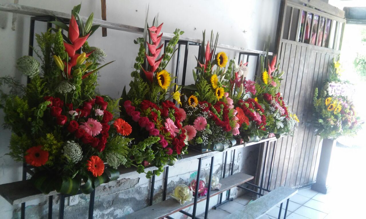 leetx-google-photo-47931-6 leetx-google-photo-47931-6