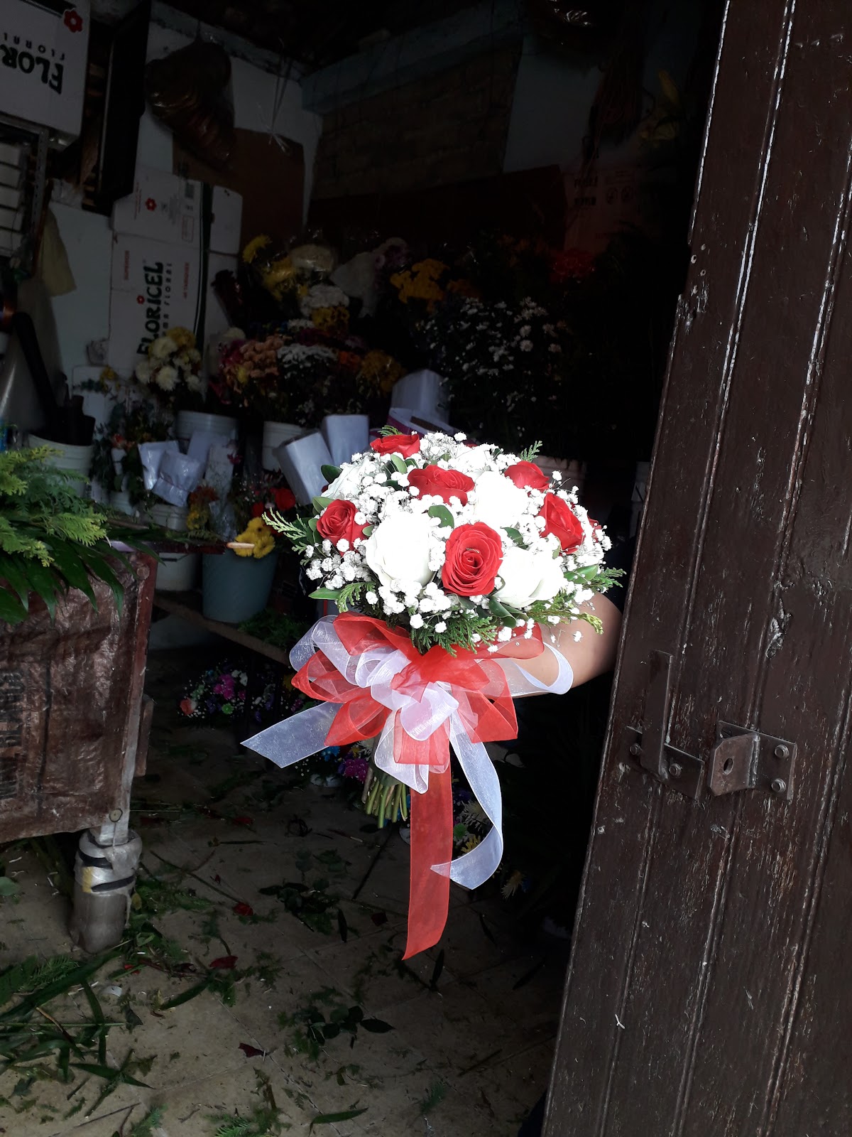 leetx-google-photo-47931-7 leetx-google-photo-47931-7