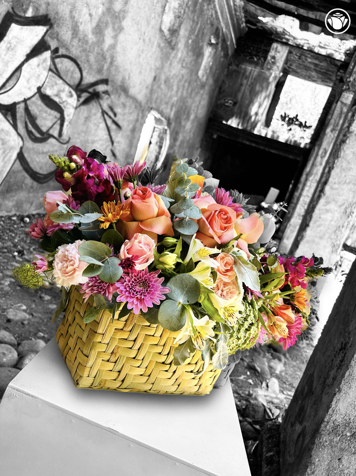 leetx-google-photo-47943-7 leetx-google-photo-47943-7