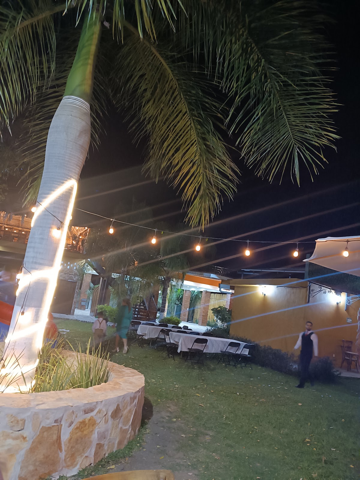 leetx-google-photo-48386-7 leetx-google-photo-48386-7