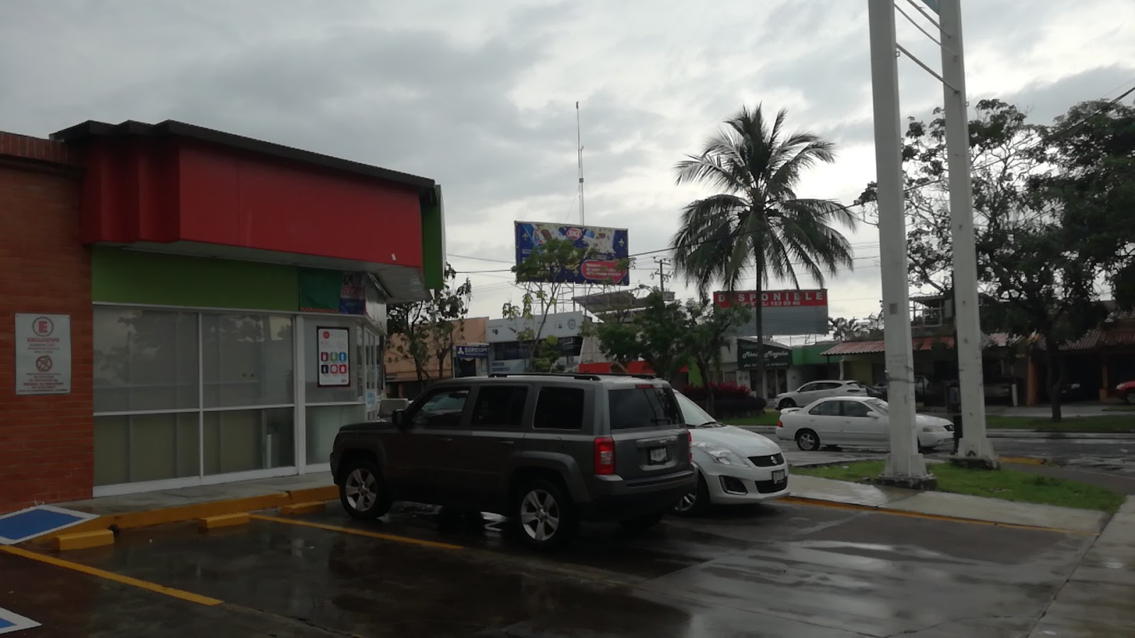 leetx-google-photo-50143-8-2 leetx-google-photo-50143-8-2