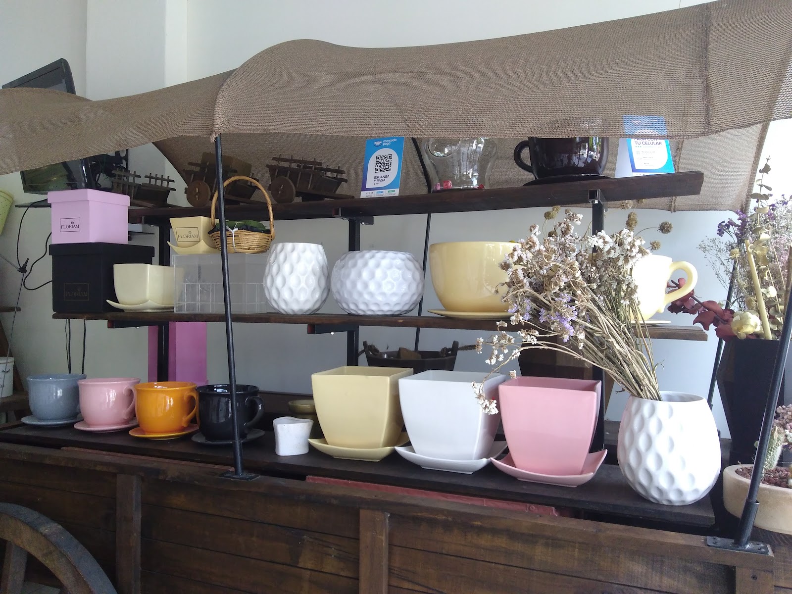 leetx-google-photo-50720-4 leetx-google-photo-50720-4