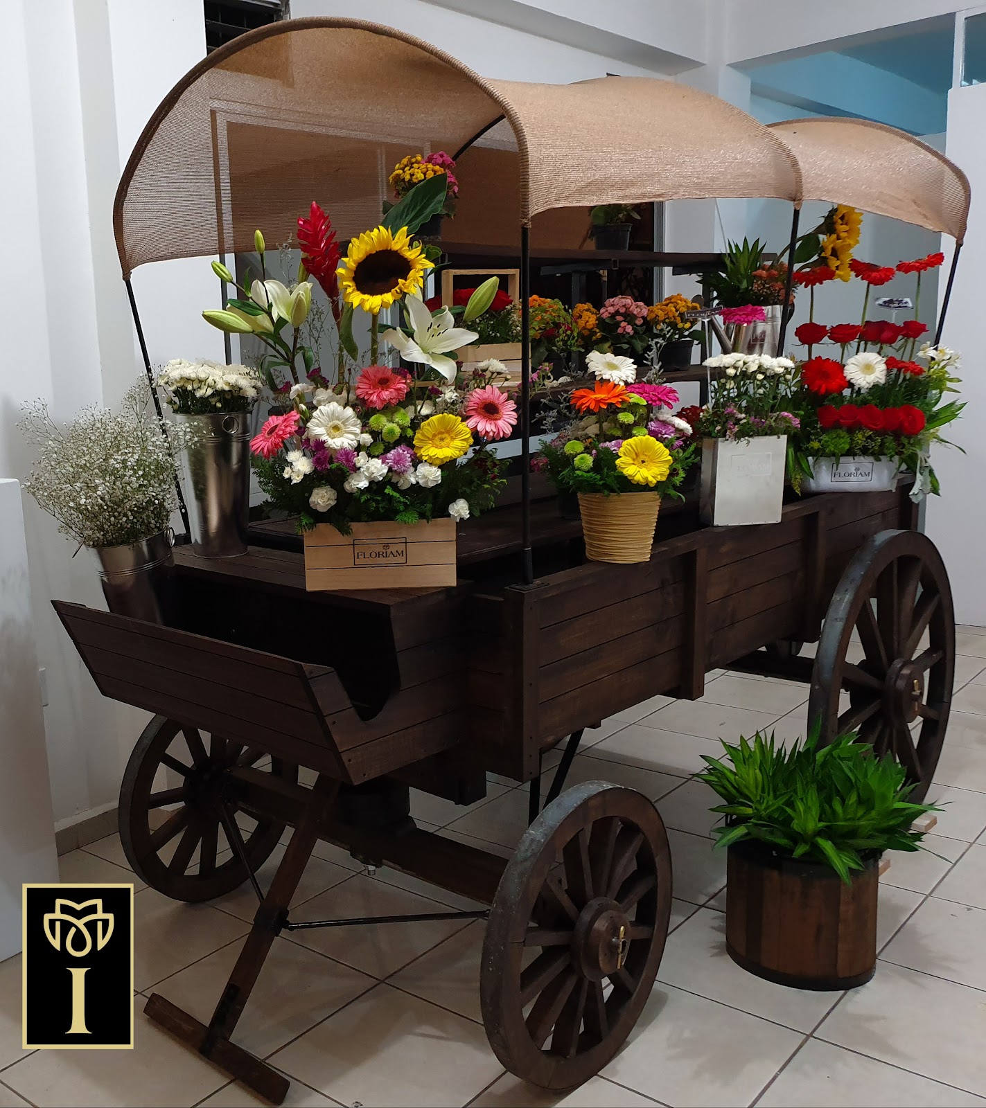 leetx-google-photo-50720-6 leetx-google-photo-50720-6