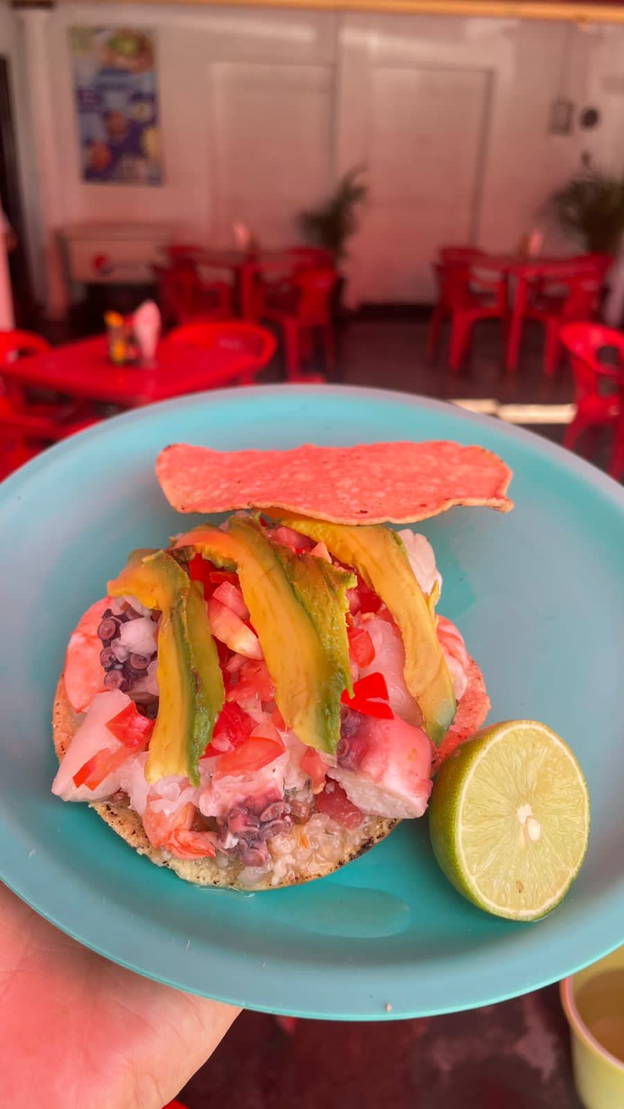 leetx-google-photo-52766-8 leetx-google-photo-52766-8