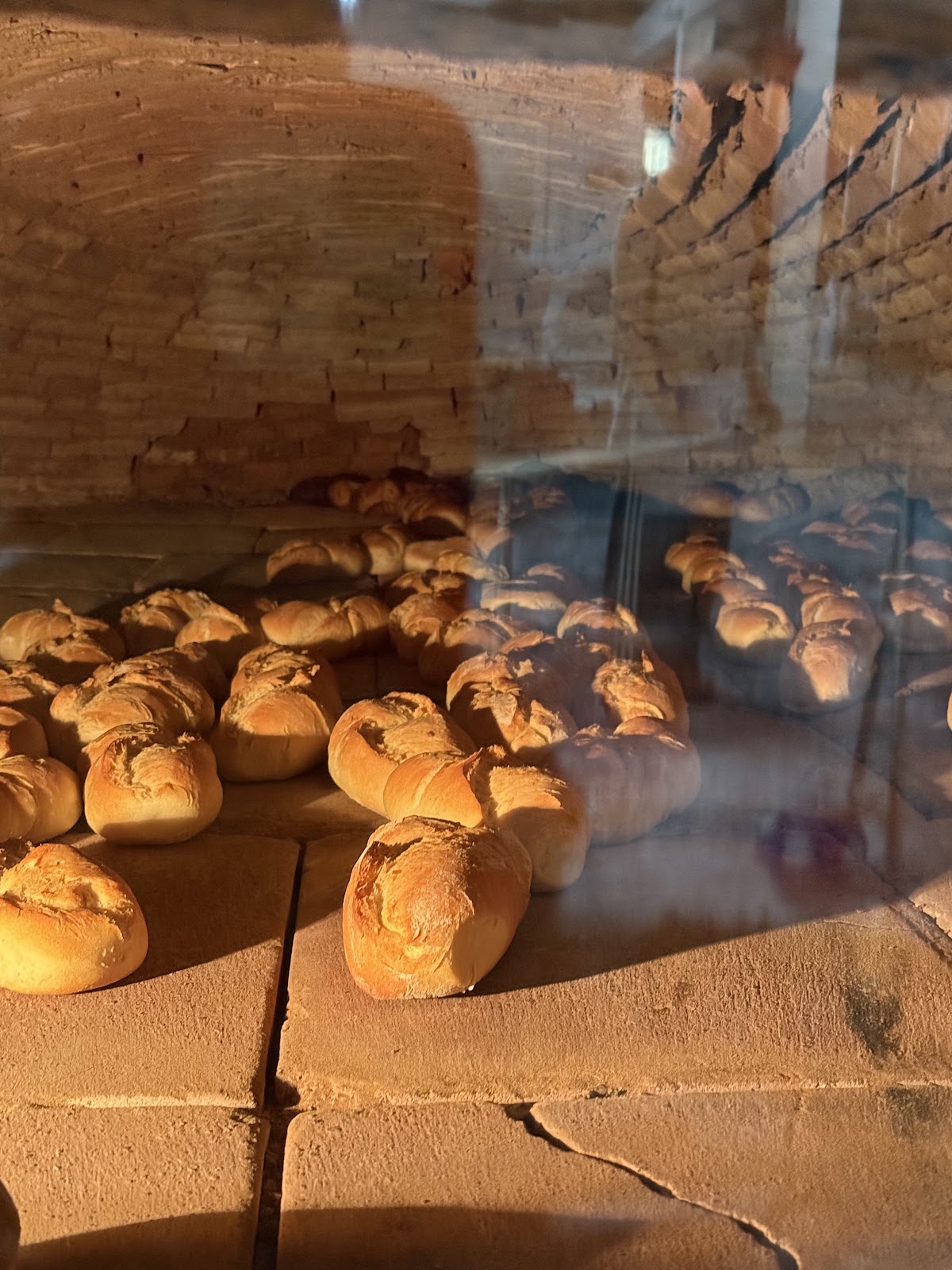 leetx-google-photo-53209-2 leetx-google-photo-53209-2