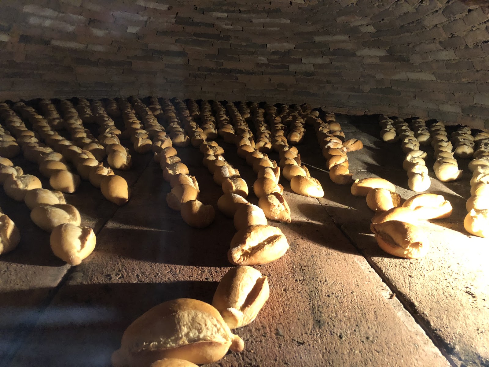 leetx-google-photo-53209-3 leetx-google-photo-53209-3