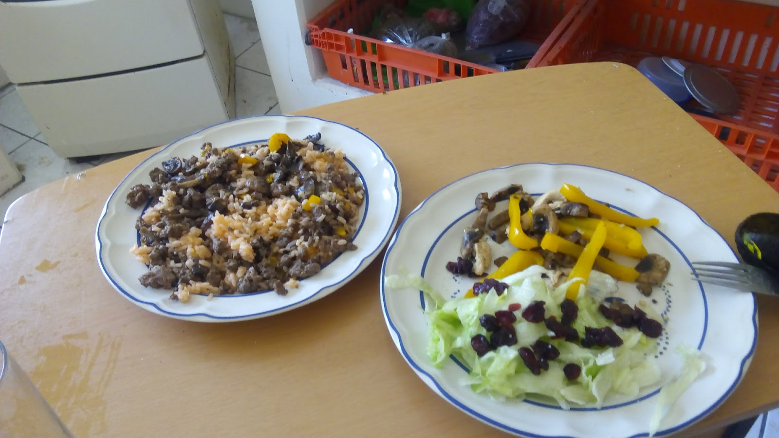 leetx-google-photo-54882-4 leetx-google-photo-54882-4