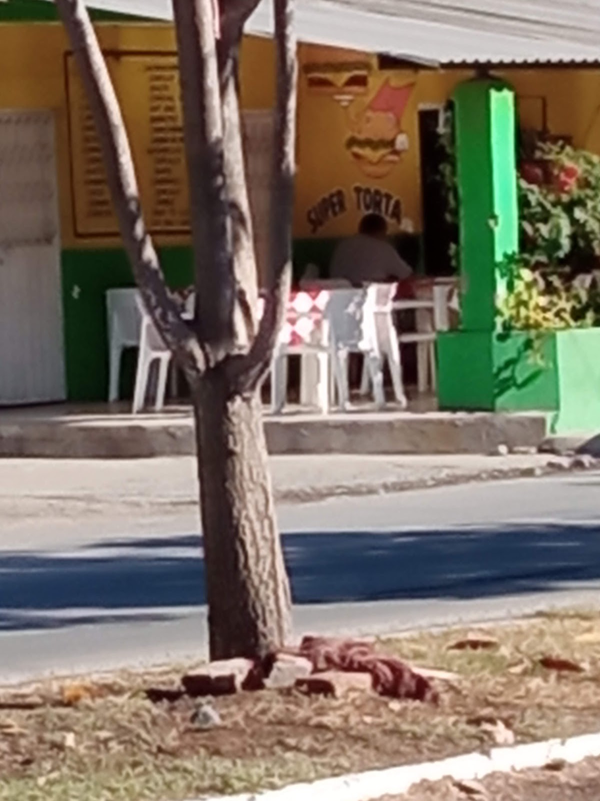 leetx-google-photo-55602-2 leetx-google-photo-55602-2