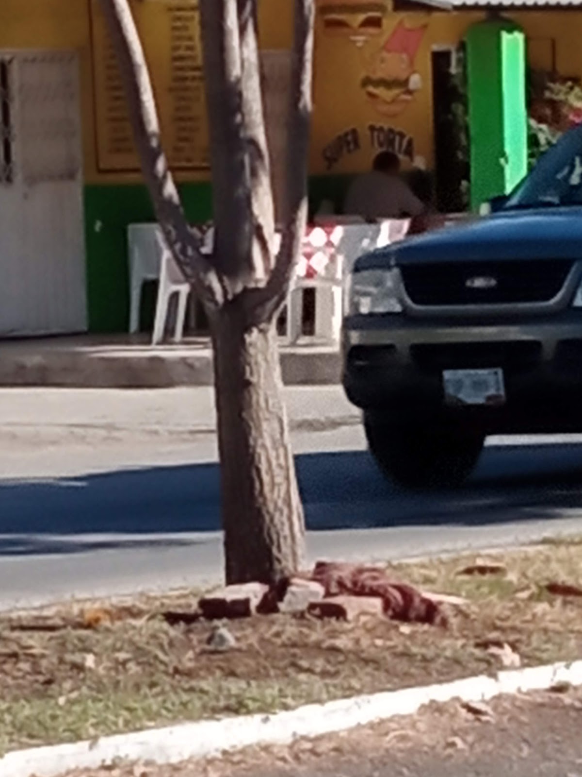 leetx-google-photo-55602-8 leetx-google-photo-55602-8