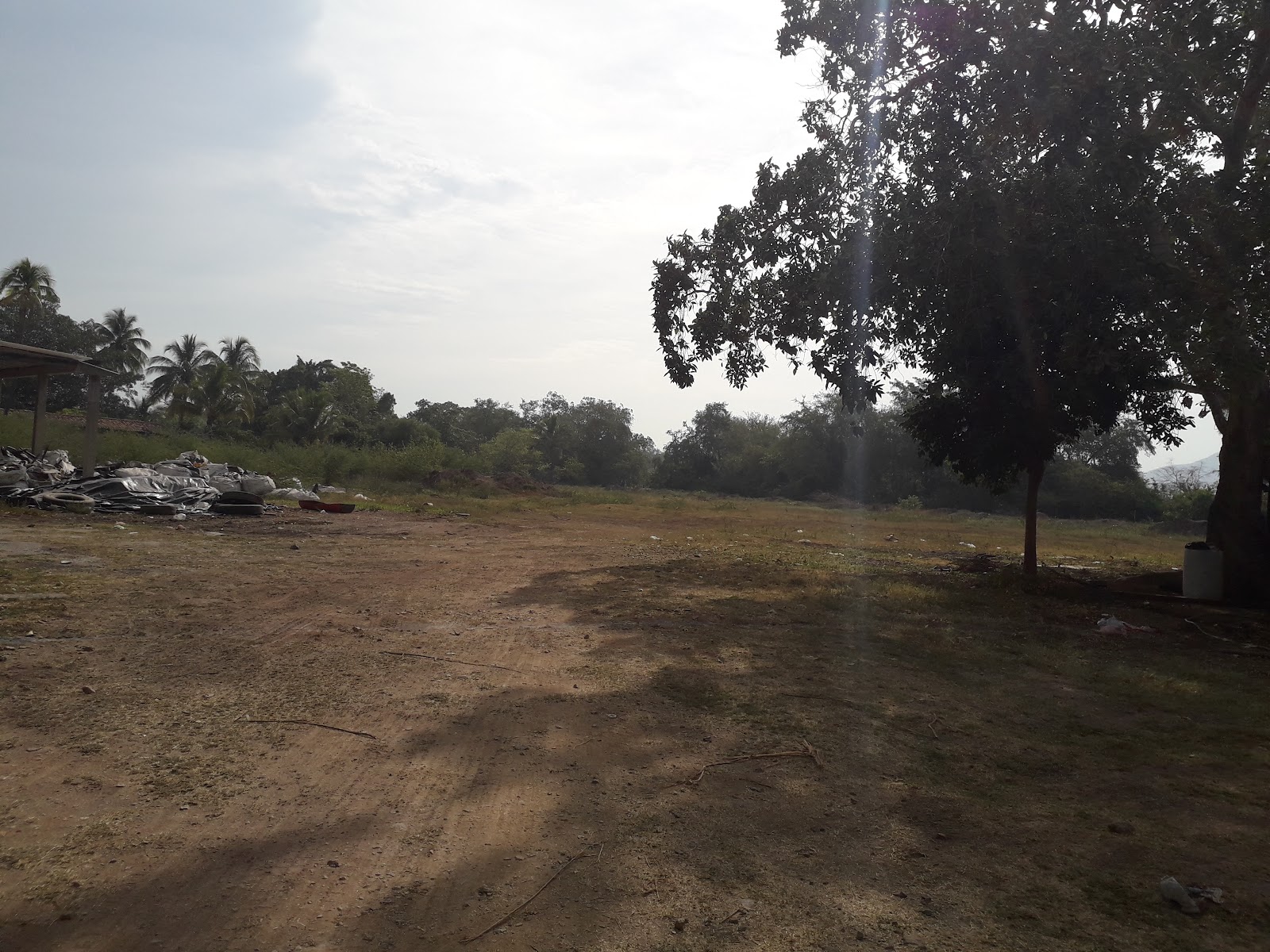 leetx-google-photo-55968-5 leetx-google-photo-55968-5