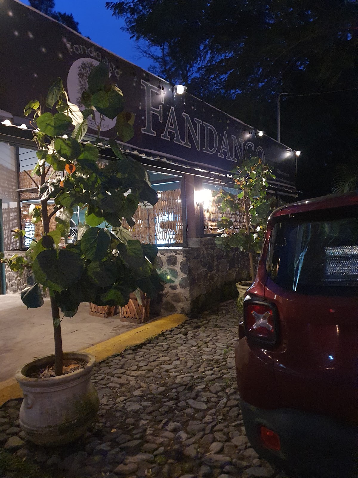 leetx-google-photo-56231-4 leetx-google-photo-56231-4