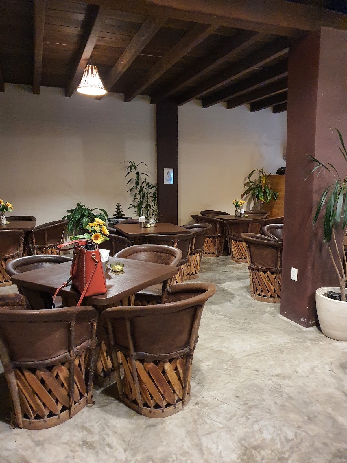 leetx-google-photo-56231-7 leetx-google-photo-56231-7