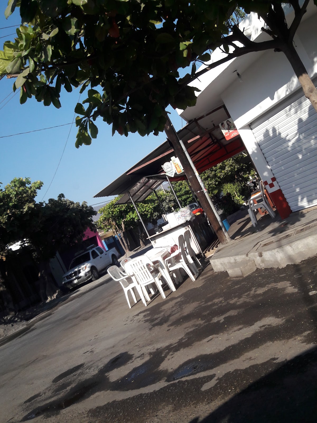 leetx-google-photo-57154-2 leetx-google-photo-57154-2