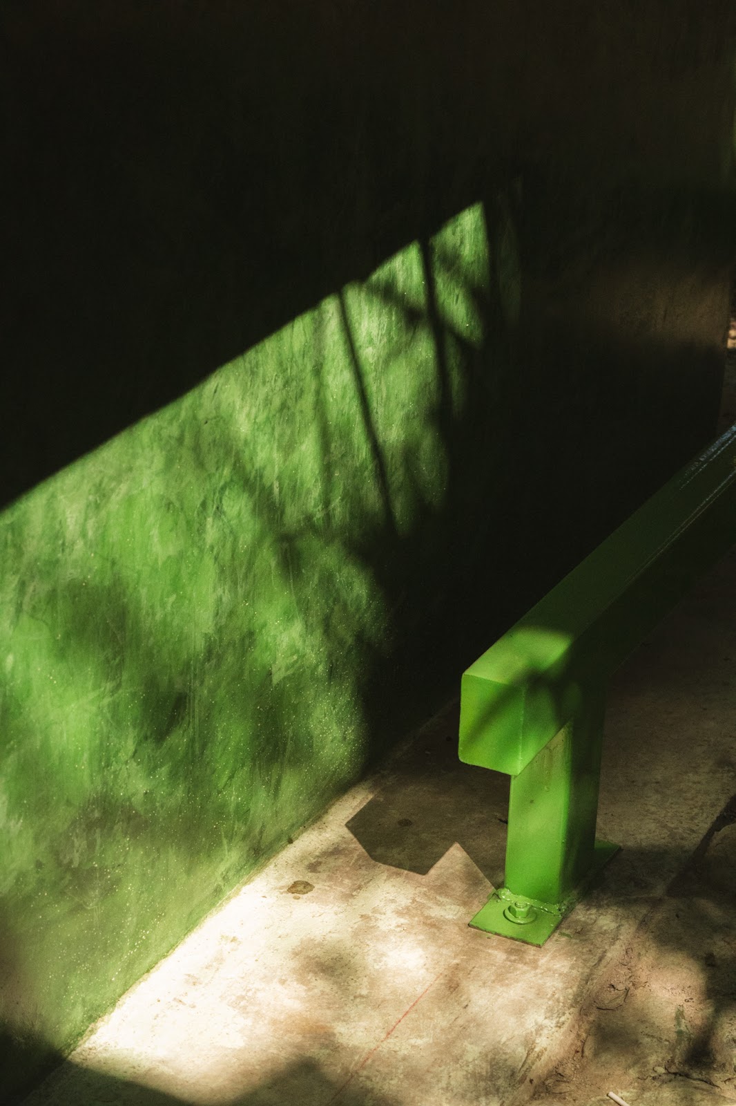 leetx-google-photo-58547-6 leetx-google-photo-58547-6