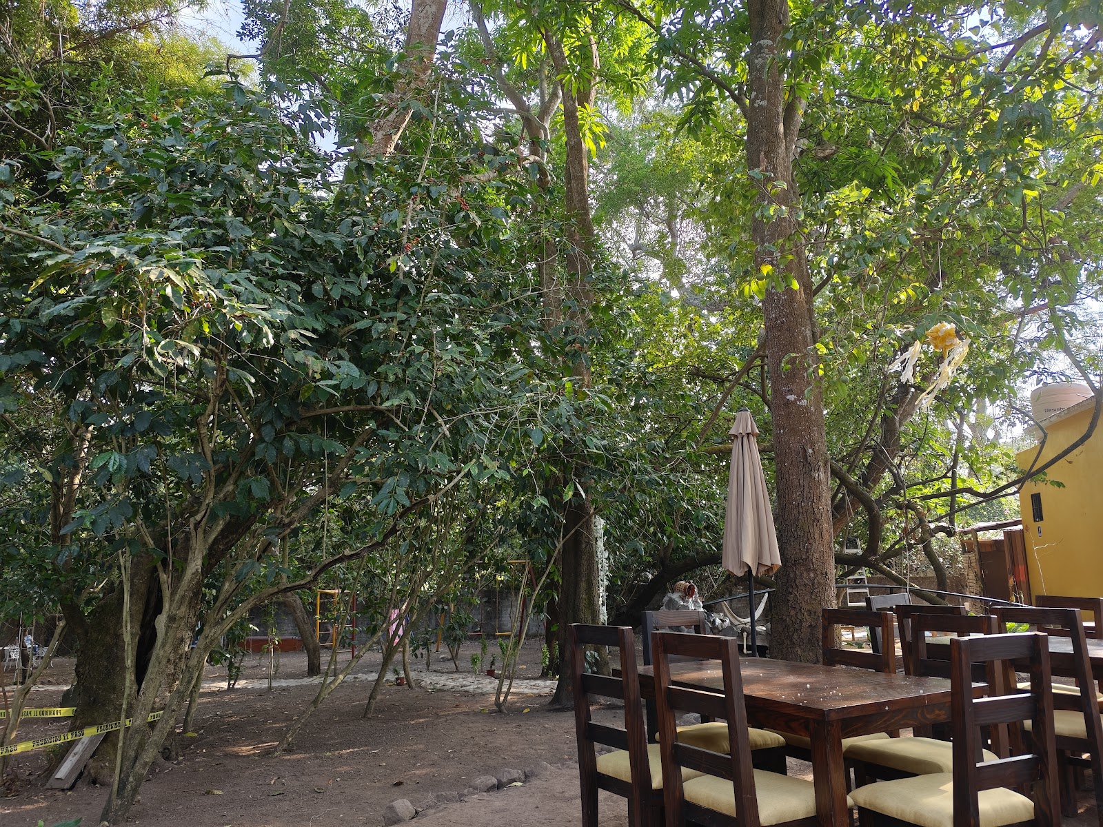 leetx-google-photo-60930-2 leetx-google-photo-60930-2