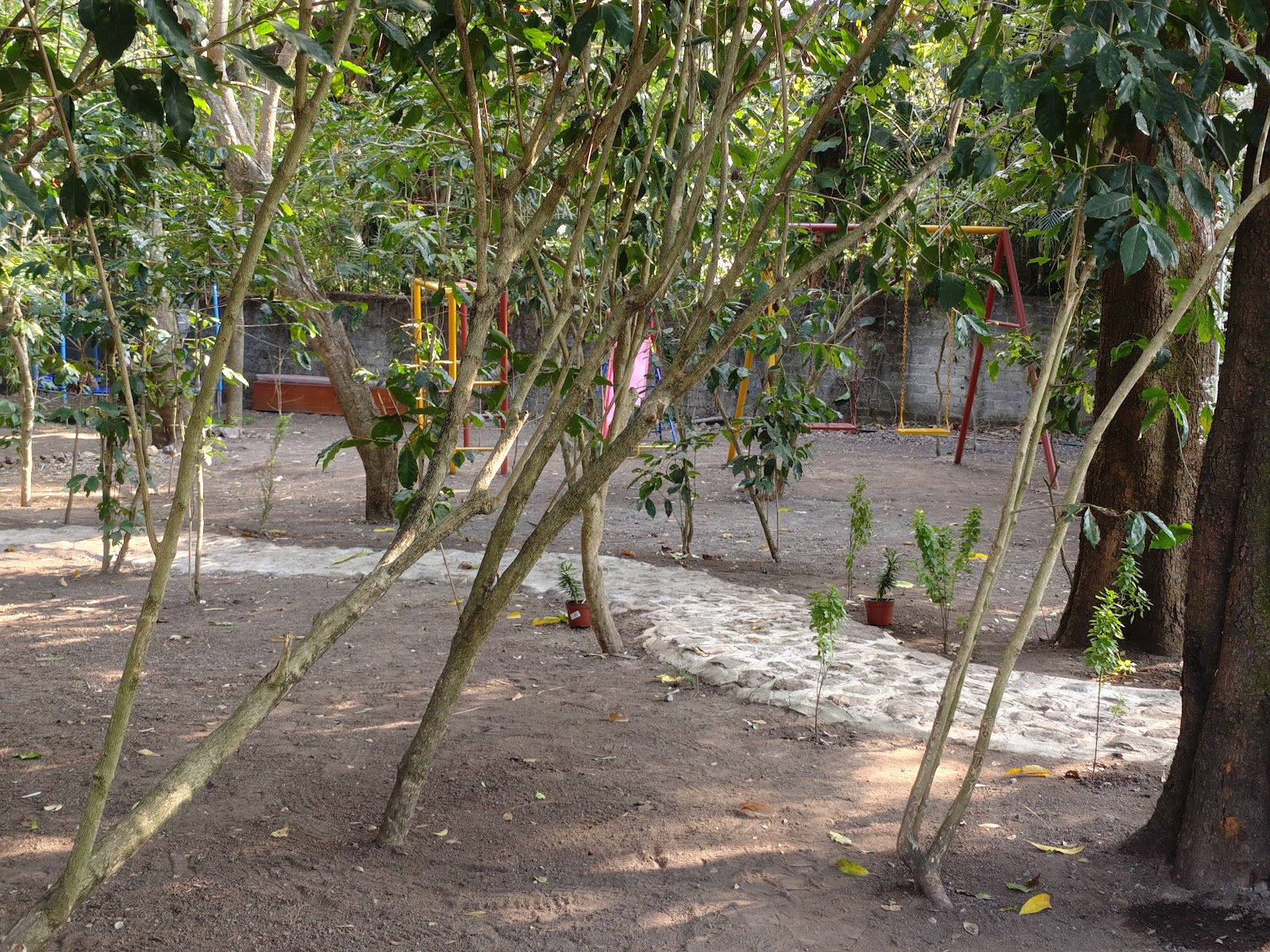 leetx-google-photo-60930-3 leetx-google-photo-60930-3