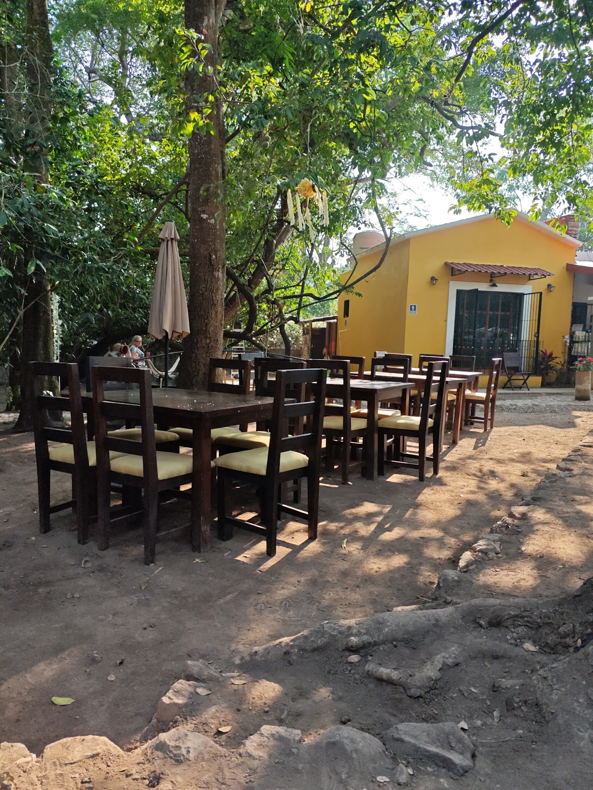 leetx-google-photo-60930-4 leetx-google-photo-60930-4