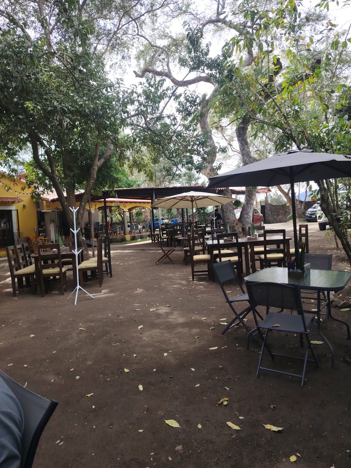 leetx-google-photo-60930-5 leetx-google-photo-60930-5