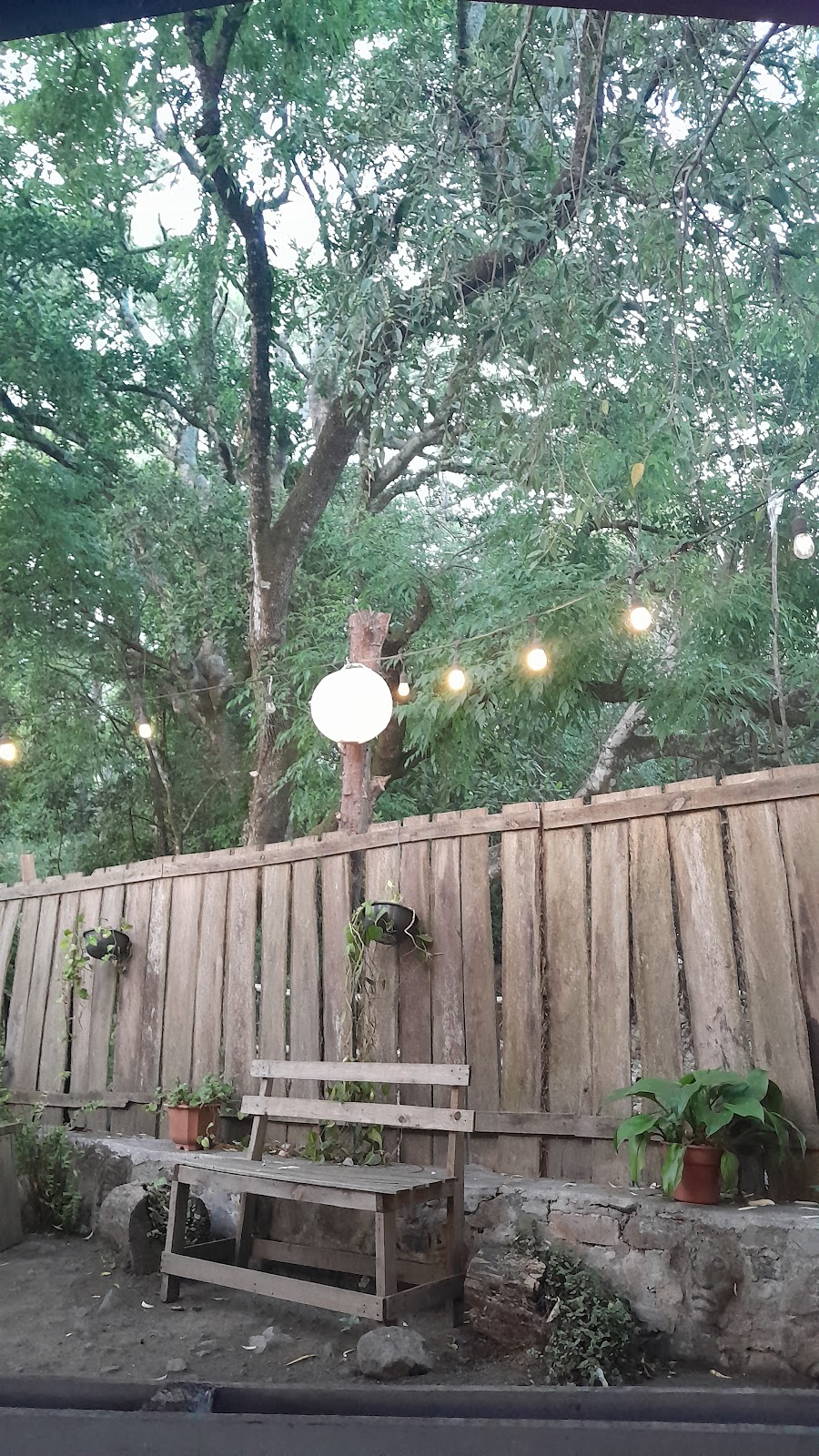 leetx-google-photo-60983-8 leetx-google-photo-60983-8