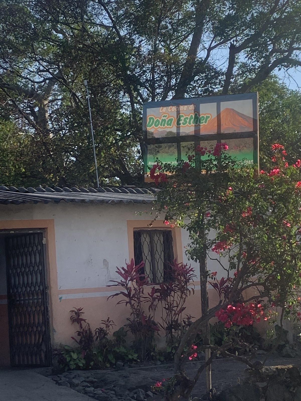 leetx-google-photo-61013-6 leetx-google-photo-61013-6