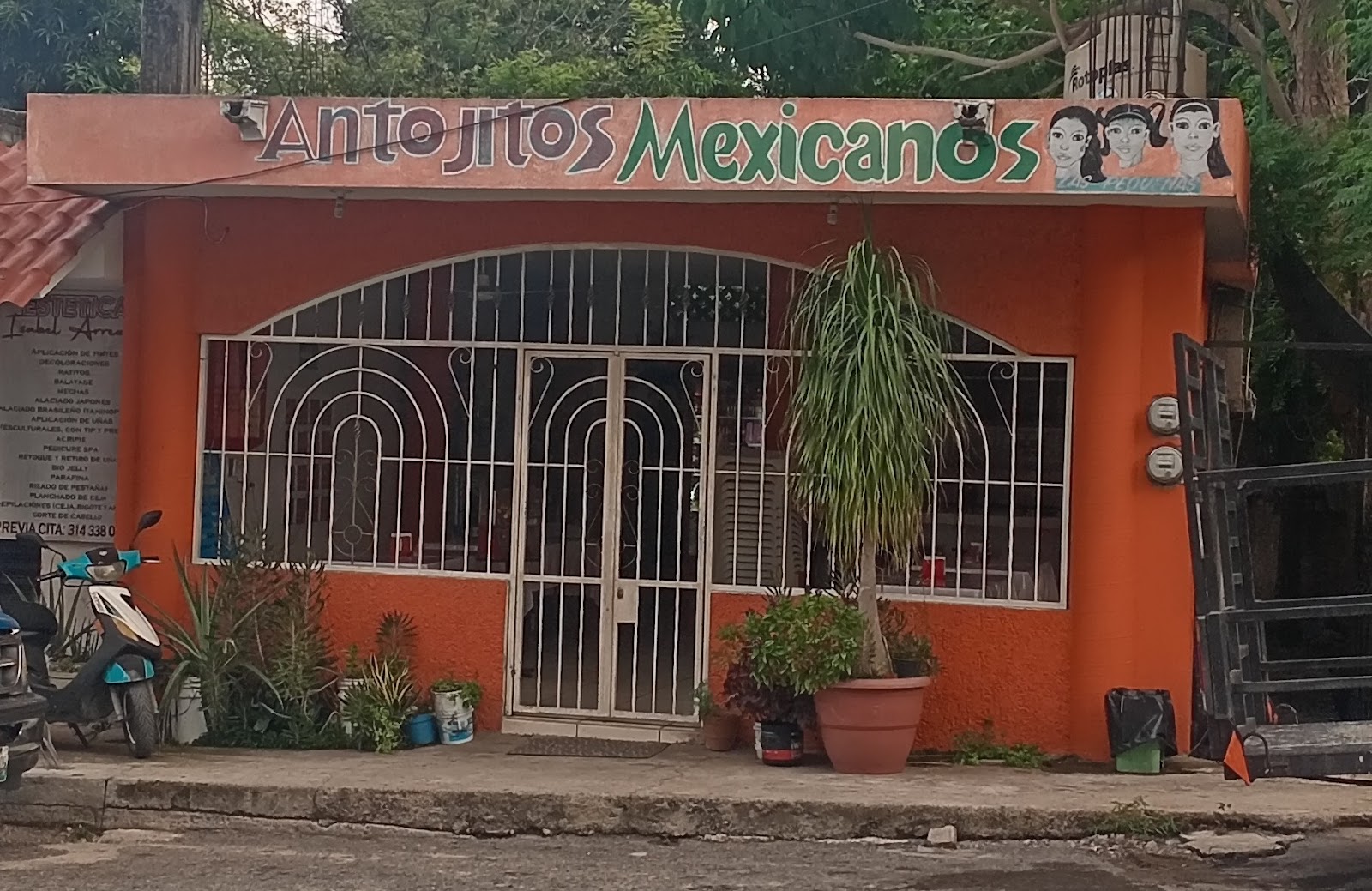 leetx-google-photo-62000-3 leetx-google-photo-62000-3