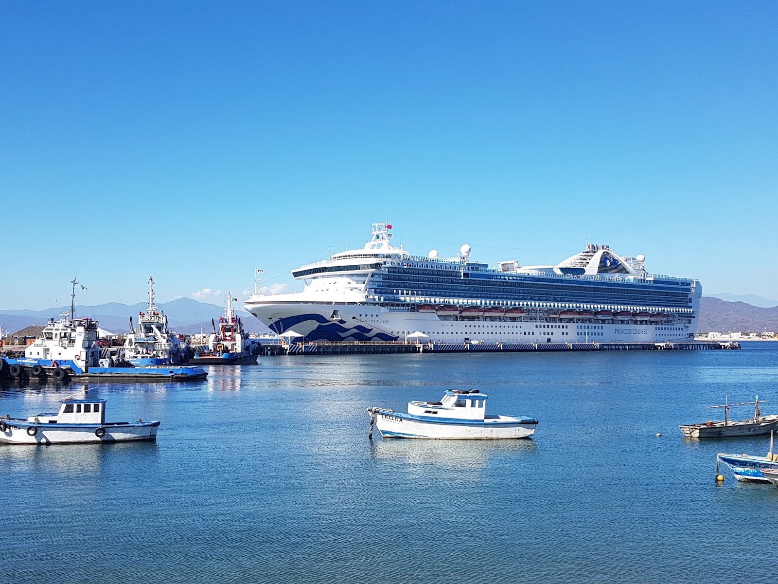 leetx-google-photo-62113-2 leetx-google-photo-62113-2