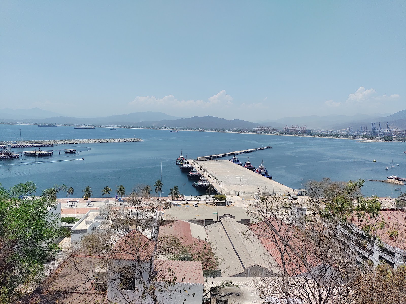 leetx-google-photo-62113-3 leetx-google-photo-62113-3