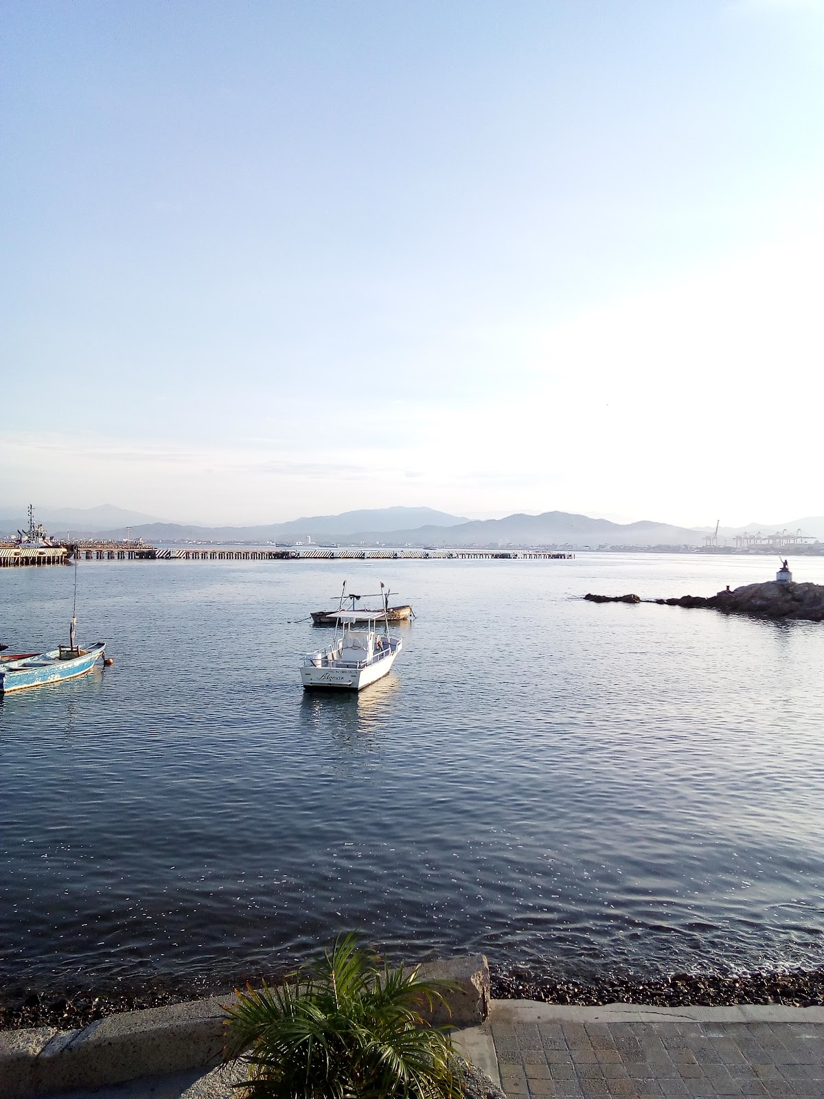 leetx-google-photo-62113-7 leetx-google-photo-62113-7