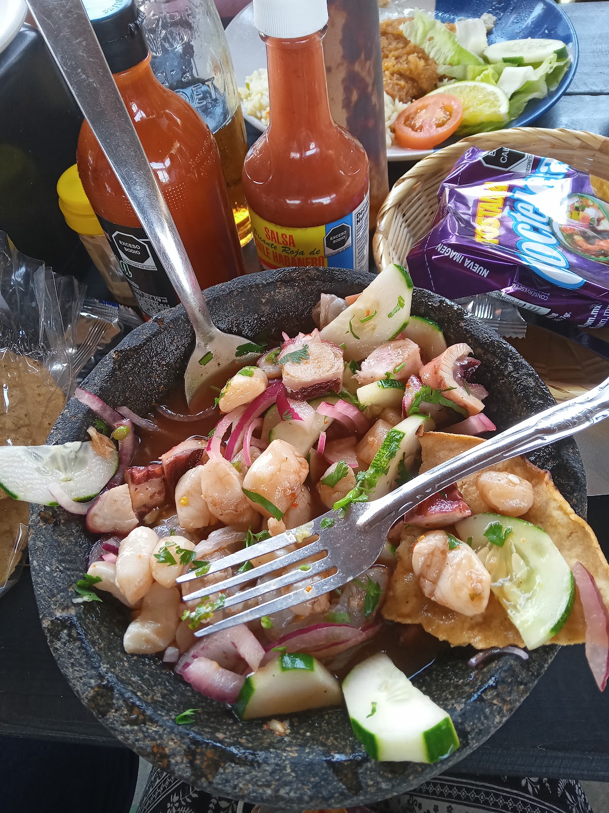 leetx-google-photo-64394-3 leetx-google-photo-64394-3