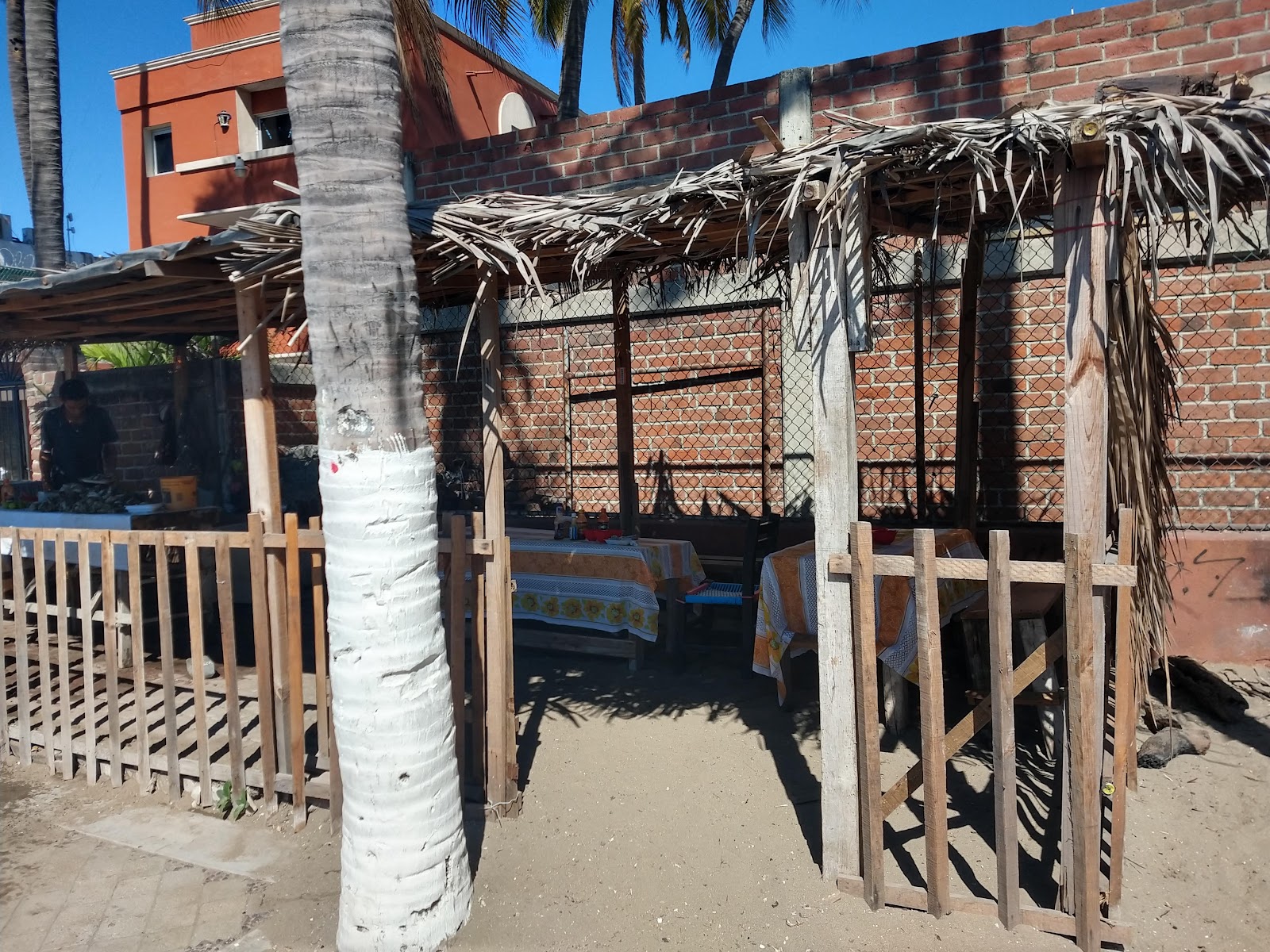 leetx-google-photo-64886-2 leetx-google-photo-64886-2