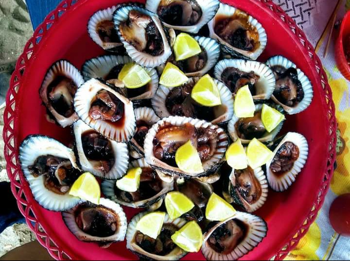 leetx-google-photo-64886-3 leetx-google-photo-64886-3