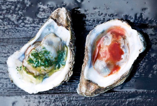 leetx-google-photo-64886-4 leetx-google-photo-64886-4