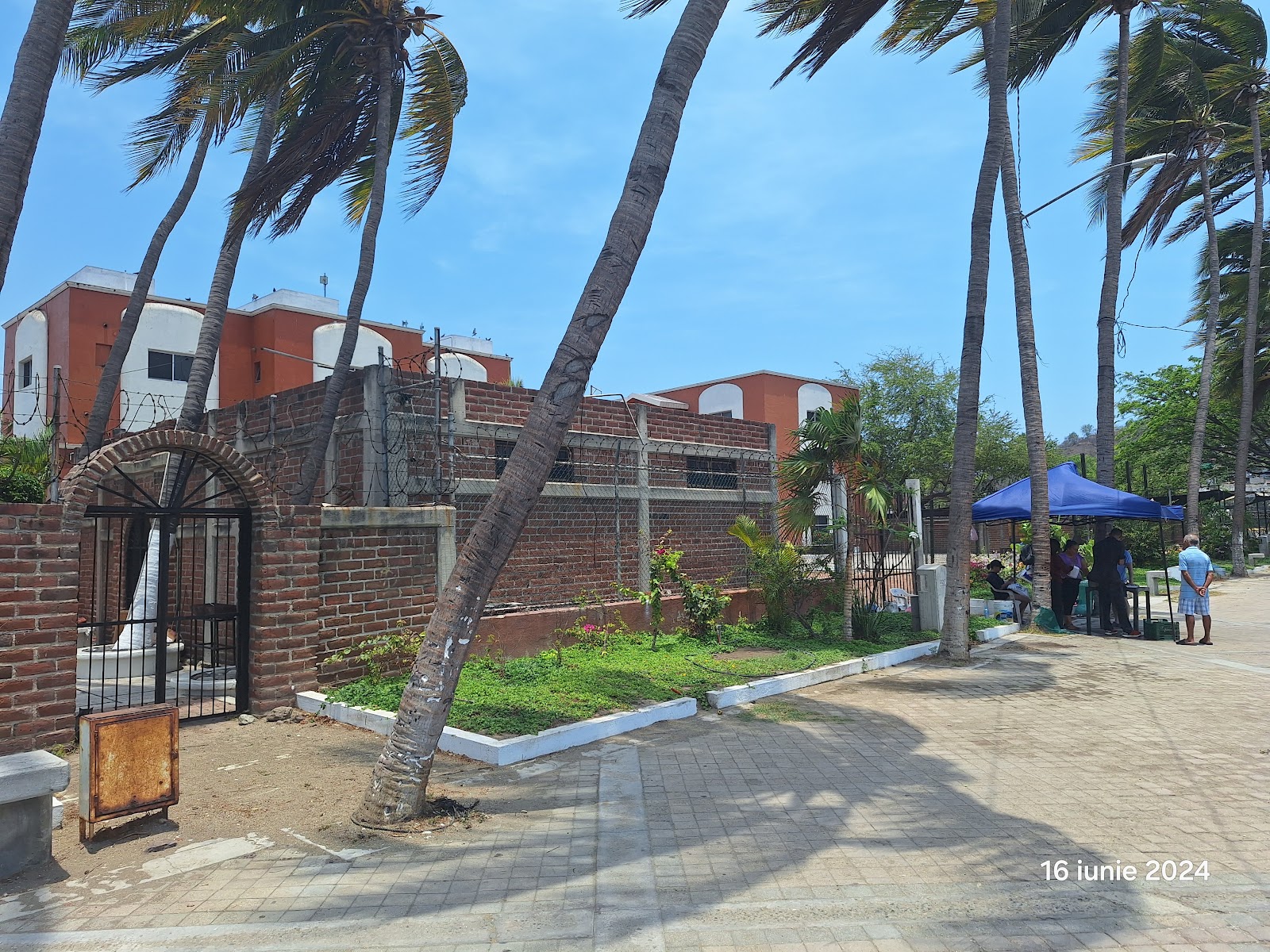 leetx-google-photo-64886-5 leetx-google-photo-64886-5