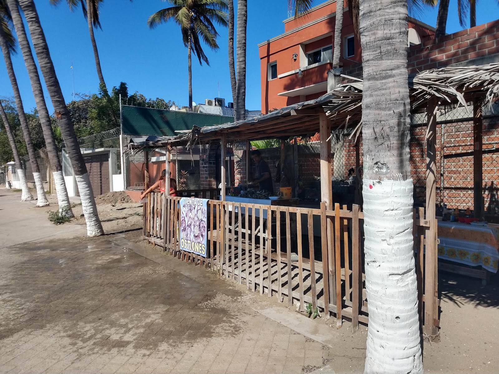 leetx-google-photo-64886-6 leetx-google-photo-64886-6