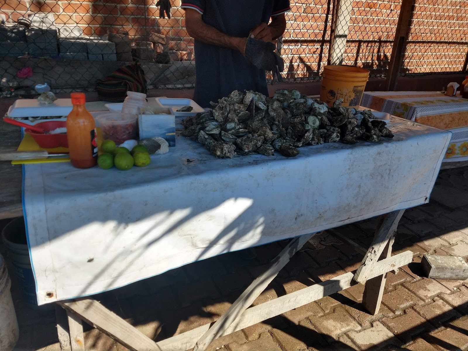 leetx-google-photo-64886-8 leetx-google-photo-64886-8