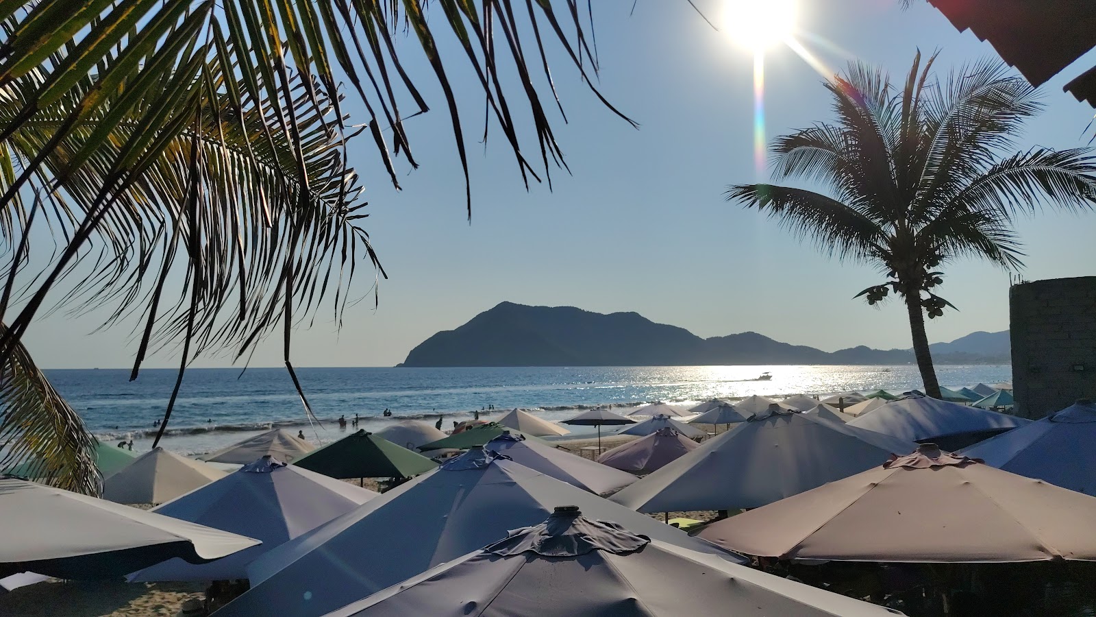 leetx-google-photo-64921-2 leetx-google-photo-64921-2