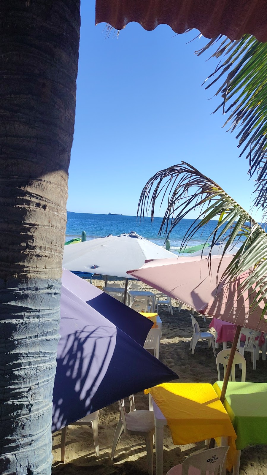 leetx-google-photo-64921-3 leetx-google-photo-64921-3