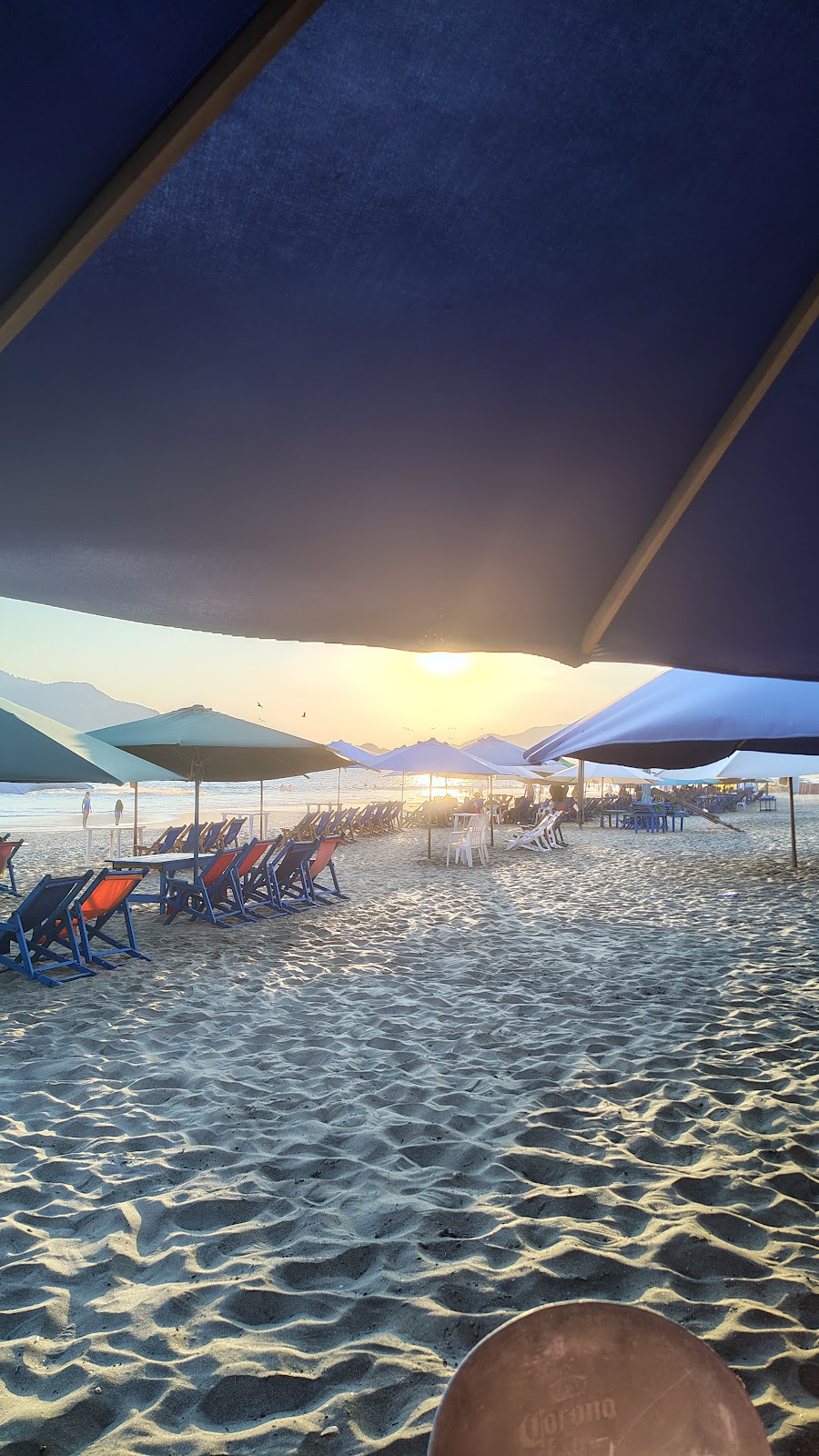 leetx-google-photo-64921-4 leetx-google-photo-64921-4