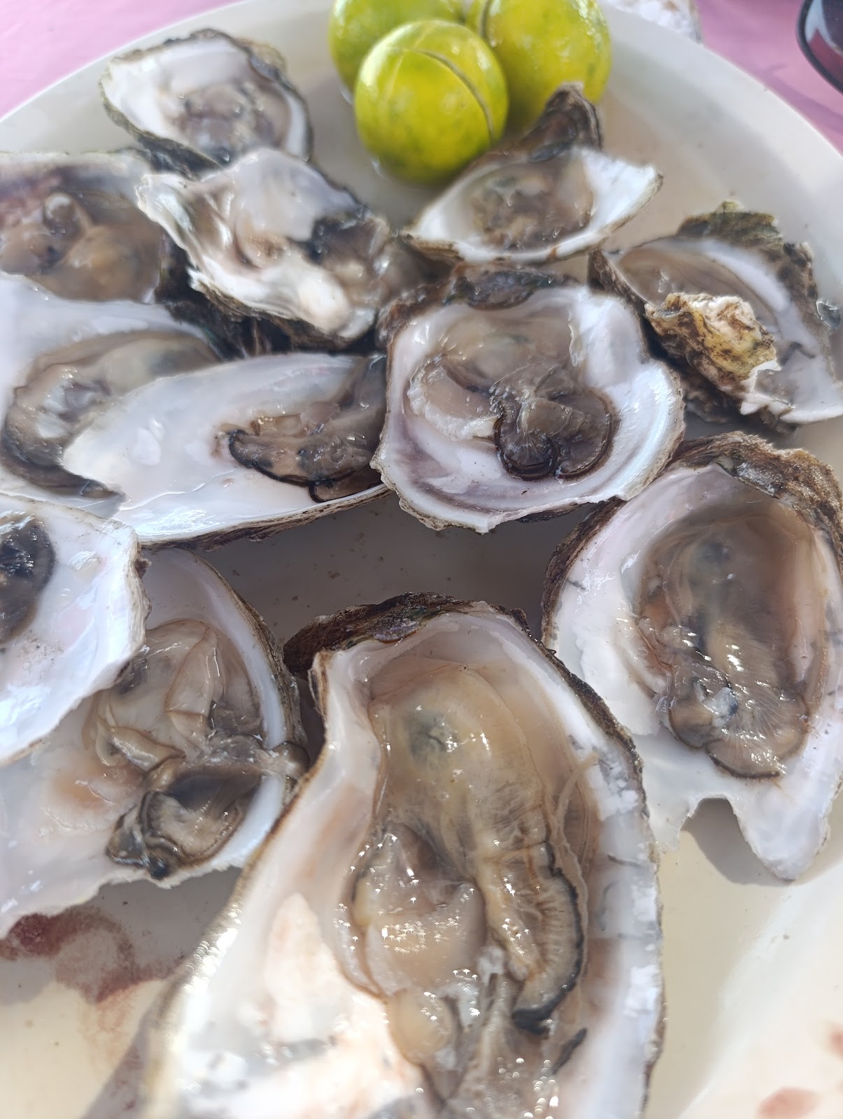 leetx-google-photo-64921-7 leetx-google-photo-64921-7