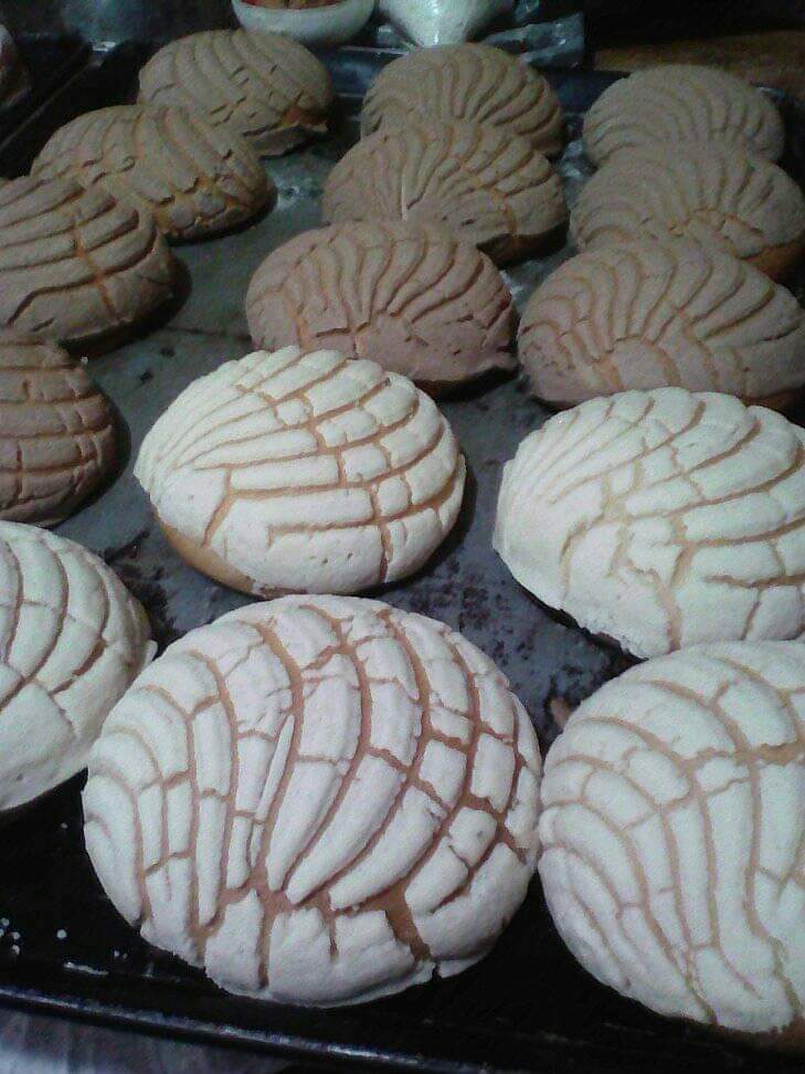 leetx-google-photo-65048-4 leetx-google-photo-65048-4