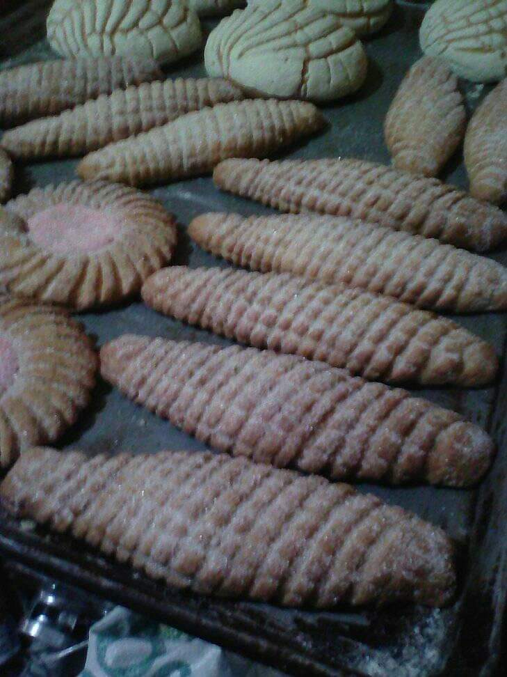 leetx-google-photo-65048-6 leetx-google-photo-65048-6