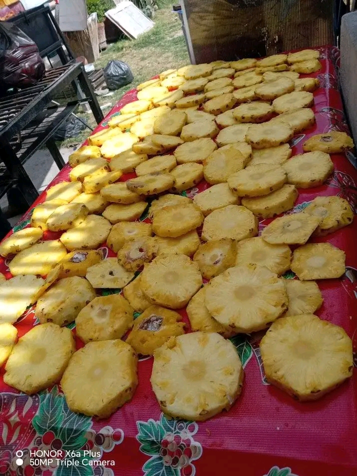 leetx-google-photo-65857-5 leetx-google-photo-65857-5