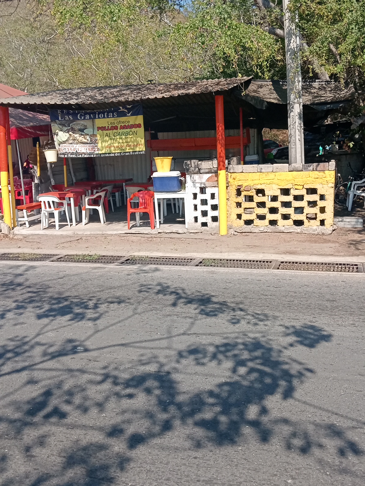 leetx-google-photo-65939-3 leetx-google-photo-65939-3