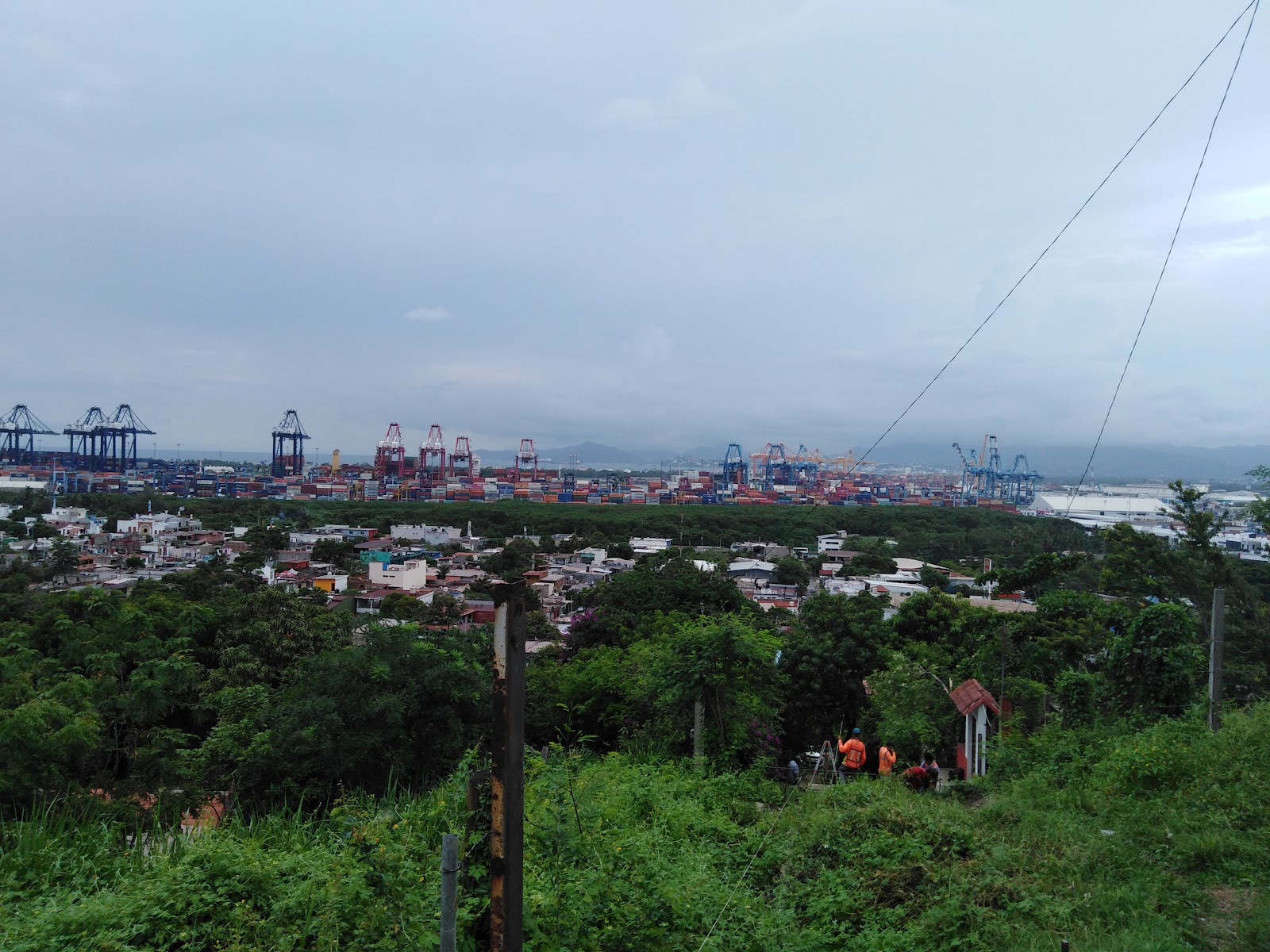 leetx-google-photo-66437-8 leetx-google-photo-66437-8