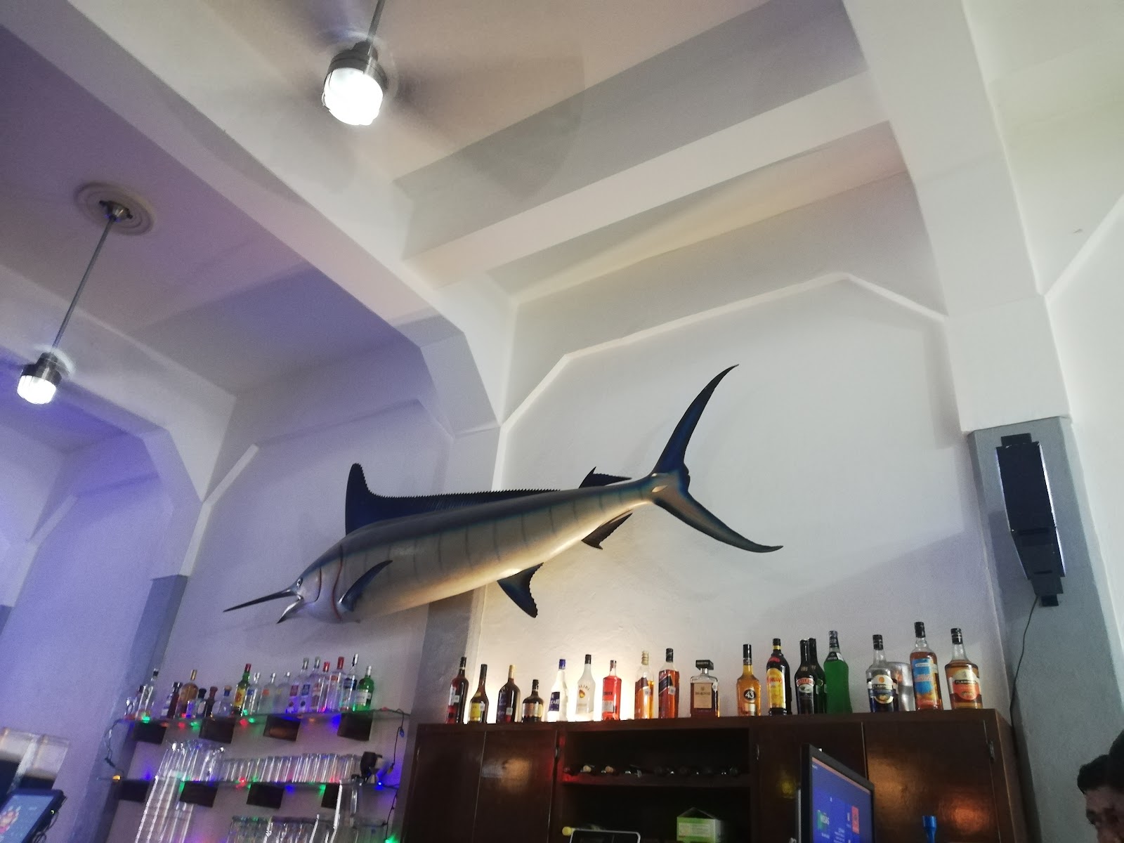 leetx-google-photo-66756-6 leetx-google-photo-66756-6