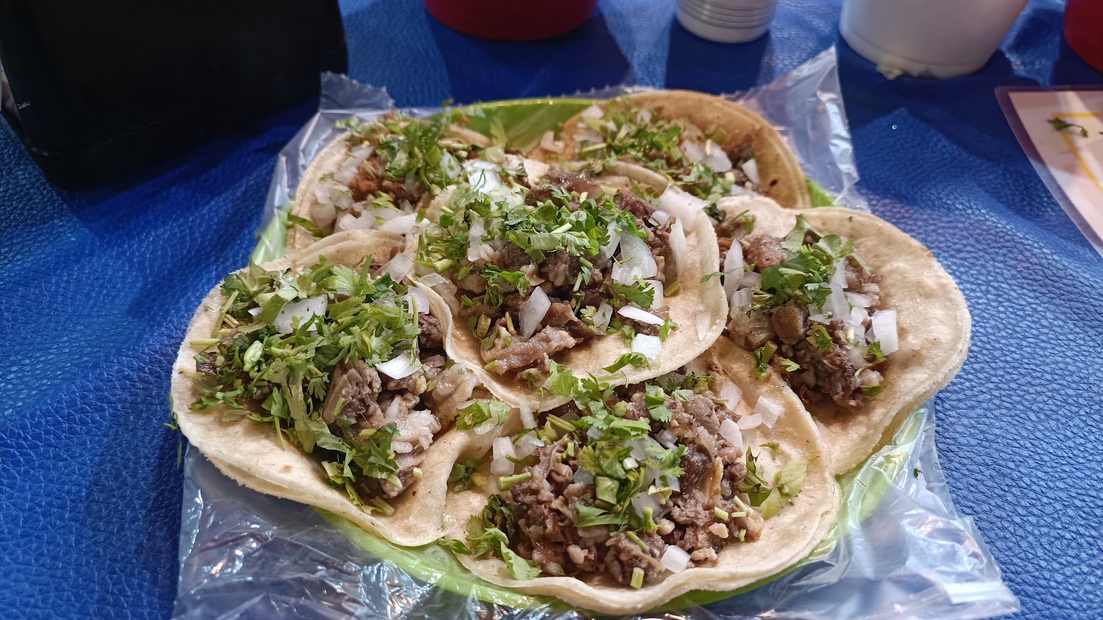 leetx-google-photo-66969-4 leetx-google-photo-66969-4